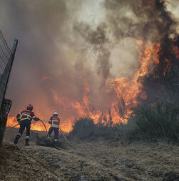 Incêndio em Vouzela tem duas frentes ativas a arder com bastante intensidade