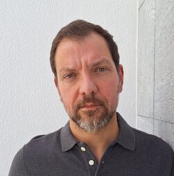 Além das trincheiras