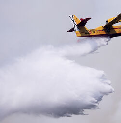 Espanha disponibiliza Canadair para apoiar combate aos incêndios em Portugal