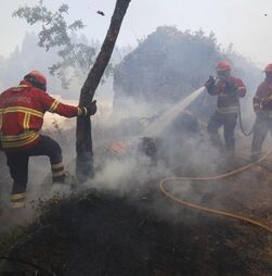 Fogo de Vouzela combatido por 1.181 operacionais e 12 meios aéreos