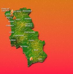 Que incêndios estão ativos em Portugal? Este é o ponto de situação
