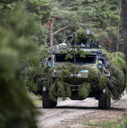 Serviço militar obrigatório e rearmamento: Conheça Gotland, a ilha sueca que se prepara para uma invasão russa  