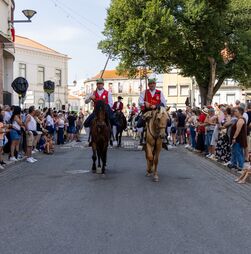Dezasseis detidos este ano na Festa do Colete Encarnado em Vila Franca de Xira