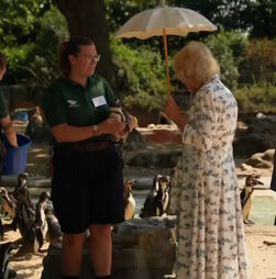 Rei Carlos III e rainha Camila visitam zoo de Londres para assinalar os 200 anos da Sociedade Zoológica