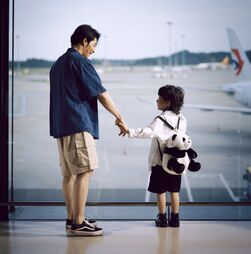 Viajar para o estrangeiro com filhos em guarda partilhada: “É fundamental ter autorização por escrito”
