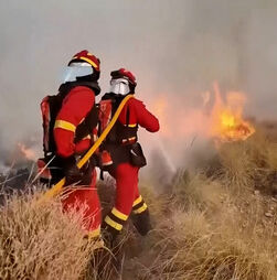 Bombeiros espanhóis continuam combate a incêndio florestal que matou pelo menos 11 pessoas na Andaluzia 