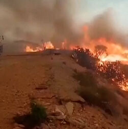 Bombeiros combatem fogo perto de habitações na Andaluzia