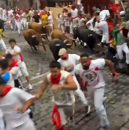 Nove feridos na quarta corrida de touros de San Fermín
