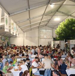 Expo Montemuro 2026: Cinfães mostra cultura e tradição viva