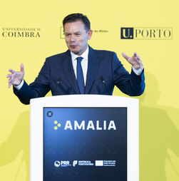 Governo teve de pagar 20 mil euros para usar o nome AMALIA
