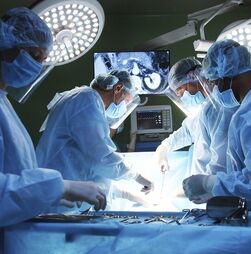 Portugal com máximos históricos de transplantes cardíacos e pulmonares em 2025