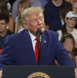 'Querem deixar os marxistas chegar ao poder': Trump atira-se a senador da Geórgia e aos 'comunistas democratas'