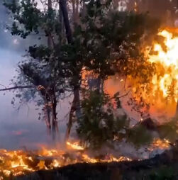Incêndios intensos obrigam à retirada de milhares de pessoas no sudoeste de França