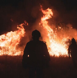 Incêndios em Espanha obrigam à retirada de 60 mil pessoas e mobilizam centenas de bombeiros