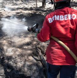 Mais de 140 bombeiros e cinco meios aéreos combatem fogo em Pombal