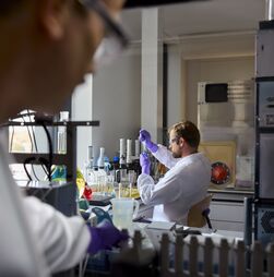Medicina de precisão: quando o tratamento se ajusta ao ADN do tumor