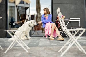Estão abertas as candidaturas ao Pet Friendly Award! Saiba como pode submeter a sua