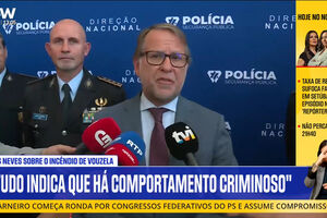 Luís Neves e o incêndio de Vouzela: "Tudo indicia comportamento criminoso" 