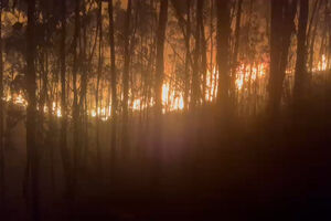 Imagens mostram frente de incêndio que ameaçou casas em Santo Tirso durante a noite