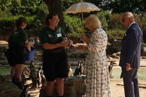 Rei Carlos III e rainha Camila visitam zoo de Londres para assinalar os 200 anos da Sociedade Zoológica