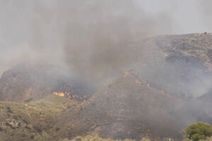 Incêndio continua a lavrar na Andaluzia. Há pelo menos 12 mortos