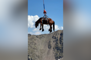 Cavalo cruza os céus de Andorra de helicóptero para receber tratamento