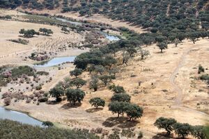 Alterações climáticas têm sido mais rápidas do que a capacidade de ação dos governos