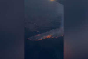 Imagens aéreas mostram dimensão do incêndio na floresta francesa de Fontainebleau