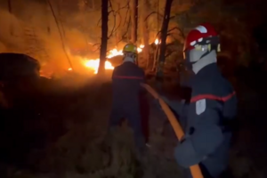 Imagens mostram incêndio que já consumiu 800 hectares na floresta de Fontainebleau em França