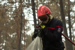 Bombeiros lutam para impedir reacendimento de fogo que lavrou em floresta nos arredores de Paris