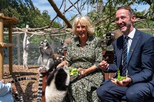 Rodeada de lémures, Rainha Camilla volta a mostrar o seu amor pelos animais