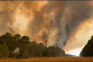 Incêndio florestal obriga à retirada de 20 mil pessoas na costa atlântica de França