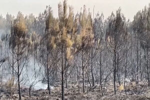 Incêndio florestal obriga à retirada de 20 mil pessoas em França
