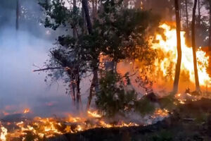 Incêndios intensos obrigam à retirada de milhares de pessoas no sudoeste de França