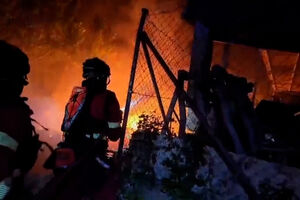 Espanha declara emergência nacional devido aos incêndios florestais em Madrid e Ávila