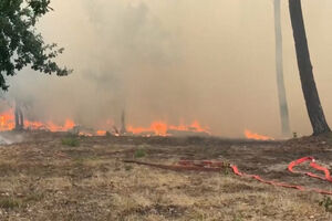 Bombeiros combatem incêndio de grandes dimensões no sudoeste de França