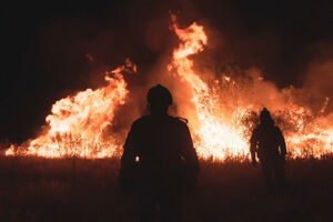 Incêndios em Espanha obrigam à retirada de 60 mil pessoas e mobilizam centenas de bombeiros
