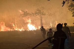 Incêndios em França obrigam à retirada de moradores nos arredores de Bordéus