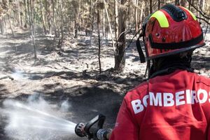 Bombeiro apaga incêndio em floresta com mangueira
