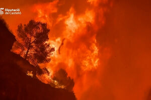 Incêndio devastador obriga à retirada de 15 mil pessoas na região espanhola de Valência