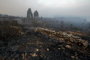 Terreno devastado por incêndio com muro de pedra e vegetação queimada