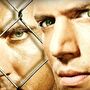 Os regressos, as caras novas e a história: o que já se sabe do novo Prison Break