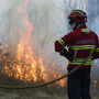 Incêndios: Fogo em Vouzela alcança distrito de Aveiro e já causou sete feridos