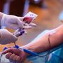 Sindicato pede investigação às condições de trabalho no centro de sangue do Porto