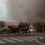 Imagens mostram cavalos em fuga perante incêndios florestais em França