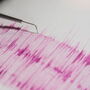 Sismo de magnitude 7.1 registado no Japão: emitido alerta de tsunami