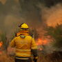 Incêndios: Fogo que começou em Valpaços com frente ativa nos concelhos de Mirandela e Vinhais