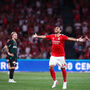 Benfica mostra as cartas do baralho e faz 'poker' com Pavlidis