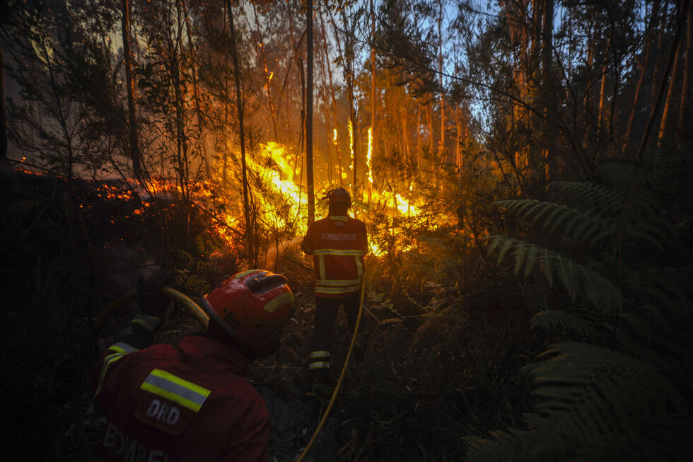 Incêndio em Rio Maior
