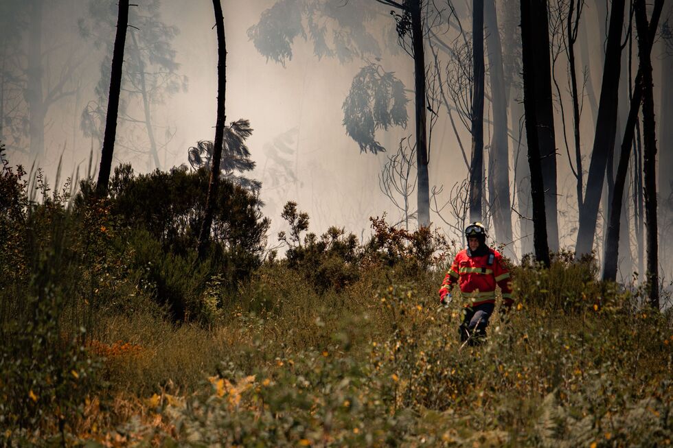 As chamas consumiram 1,2 hectares de área florestal